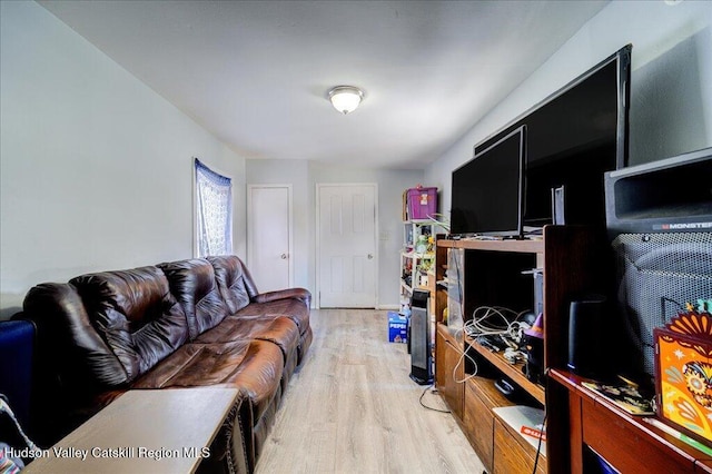 living room with light wood-style flooring
