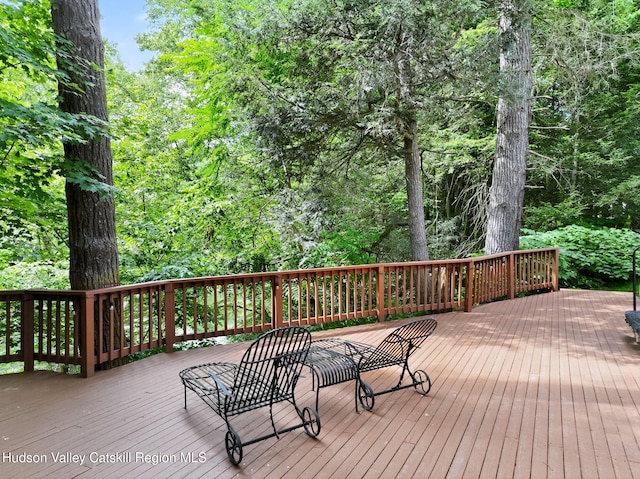 1202 Jackson Corners Rd, Red Hook, NY 12571 - photo 42