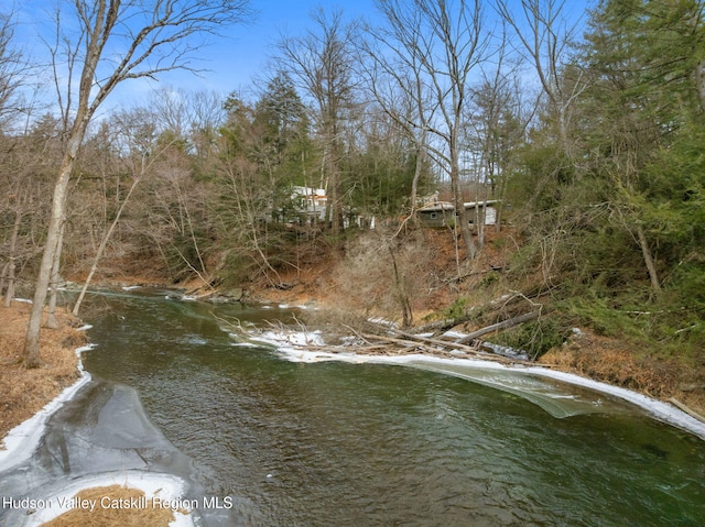 1202 Jackson Corners Rd, Red Hook, NY 12571 - photo 25