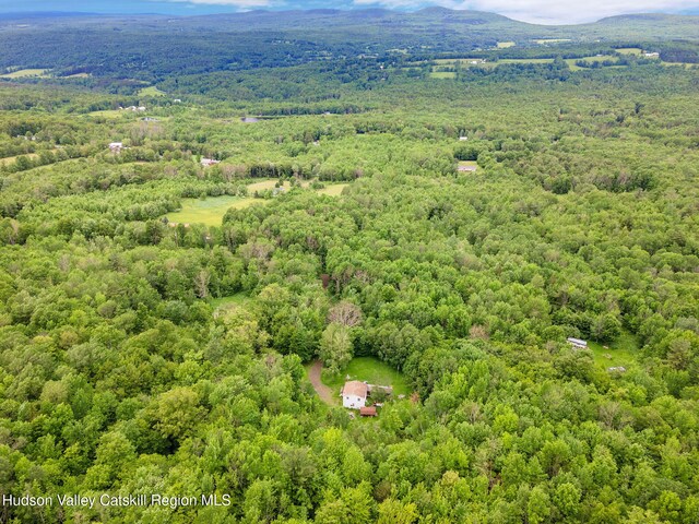 222 Antonucci Dr, Conesville, NY 12076 - photo 11