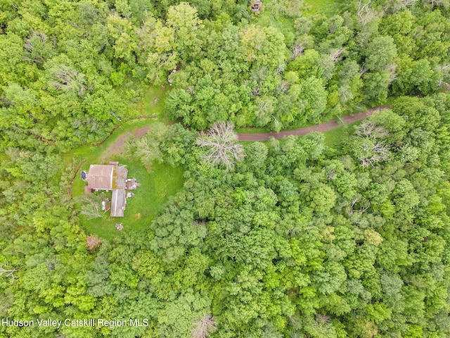 222 Antonucci Dr, Conesville, NY 12076 - photo 9