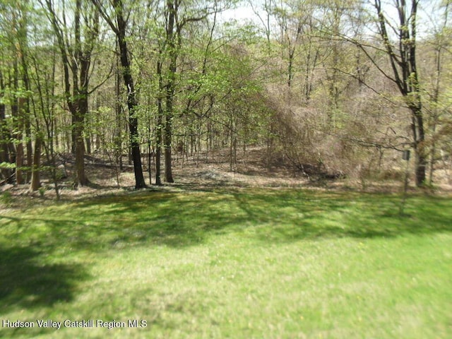 44 Dogwood Dr, Shokan, NY 12481 - photo 39