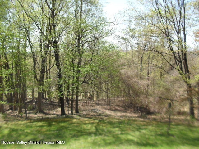 44 Dogwood Dr, Shokan, NY 12481 - photo 37