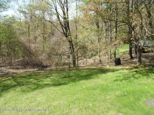 44 Dogwood Dr, Shokan, NY 12481 - photo 38