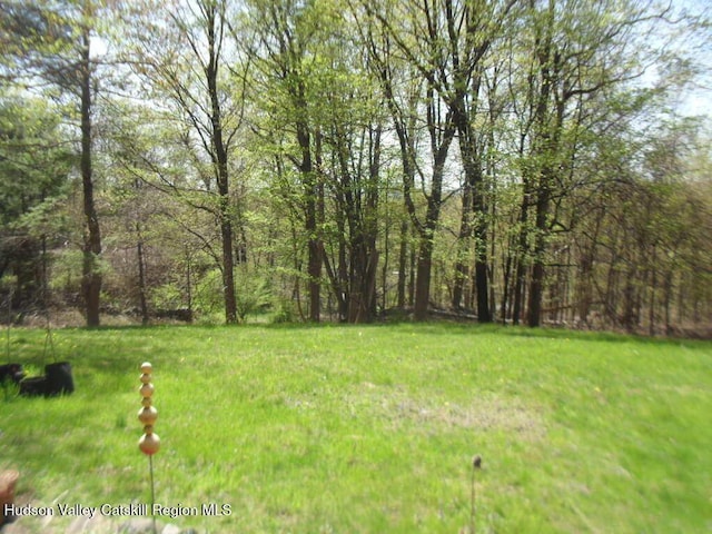 44 Dogwood Dr, Shokan, NY 12481 - photo 16
