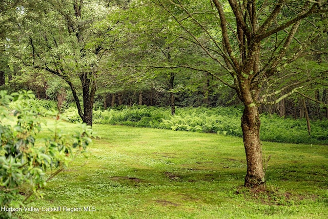 214 Wright Rd, Kerhonkson, NY 12446 - view of grassy yard with a forest view