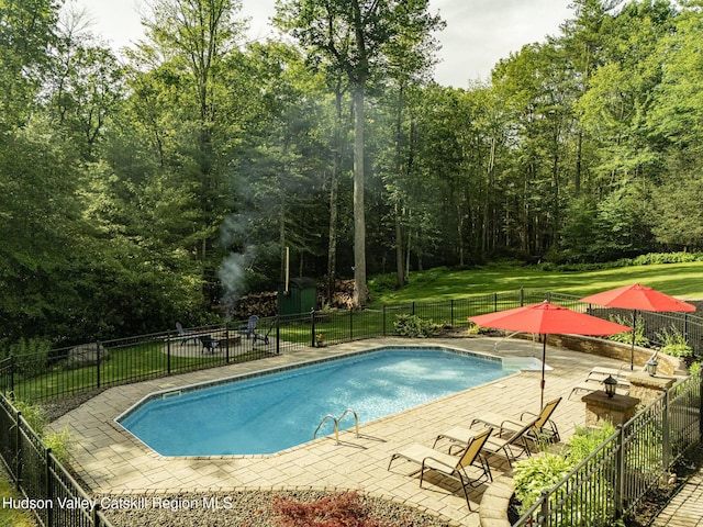 214 Wright Rd, Kerhonkson, NY 12446 - view of swimming pool with a patio