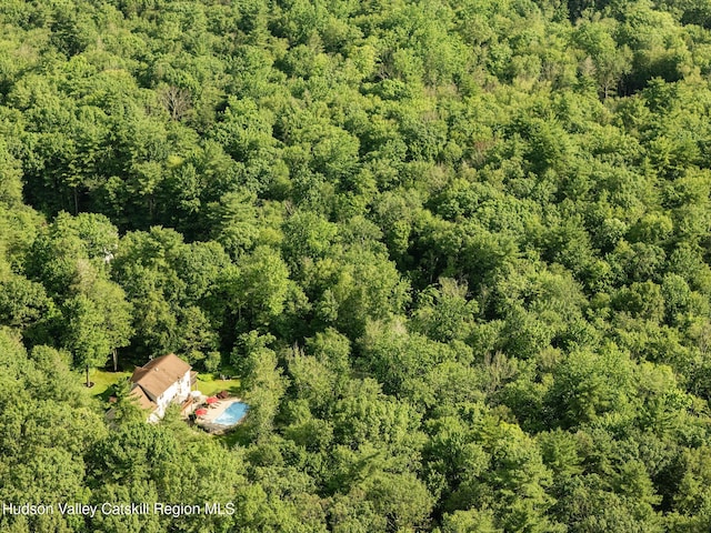 214 Wright Rd, Kerhonkson, NY 12446 - view of property location featuring a heavily wooded area