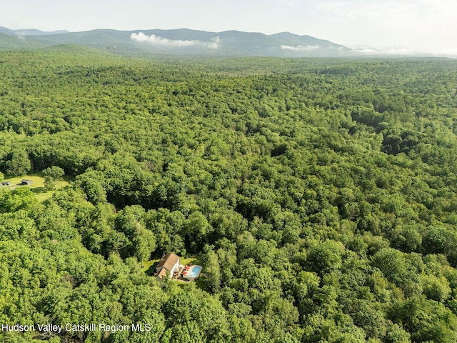 214 Wright Rd, Kerhonkson, NY 12446 - aerial view of a forest and a mountainous background