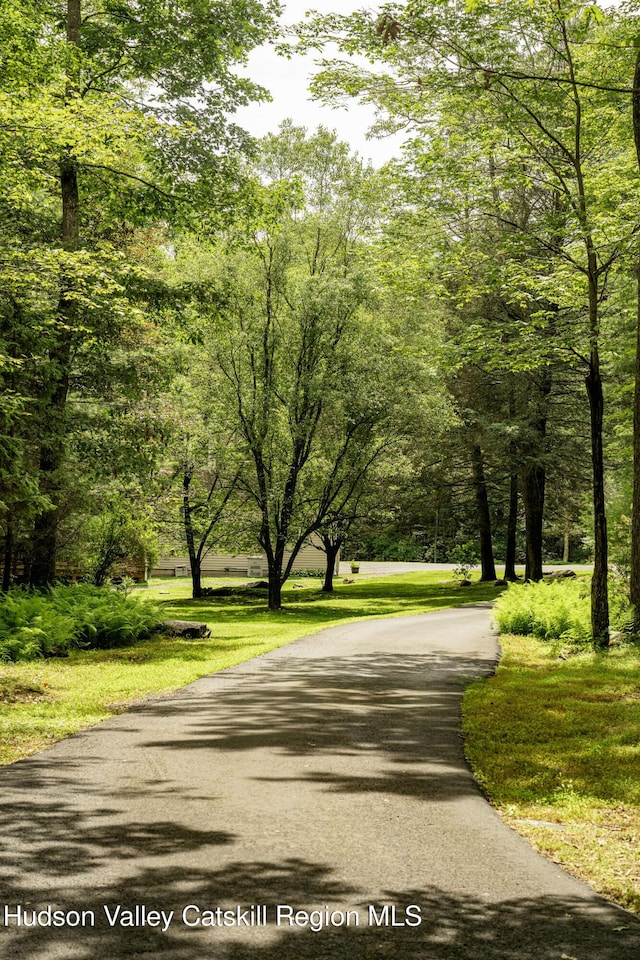 214 Wright Rd, Kerhonkson, NY 12446 - view of community featuring a forest view and driveway