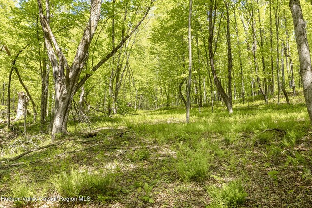 400 Overlook Dr, Hillsdale, NY 12529 - photo 9