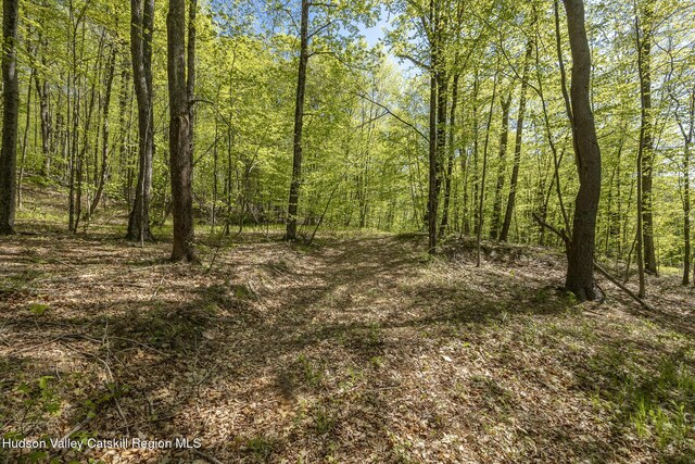 400 Overlook Dr, Hillsdale, NY 12529 - photo 10