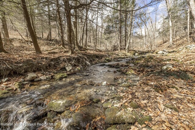 400 Overlook Dr, Hillsdale, NY 12529 - photo 13