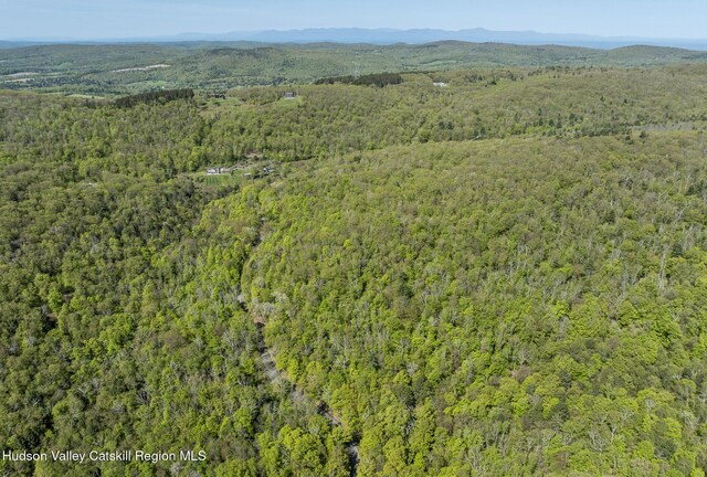 400 Overlook Dr, Hillsdale, NY 12529 - photo 17
