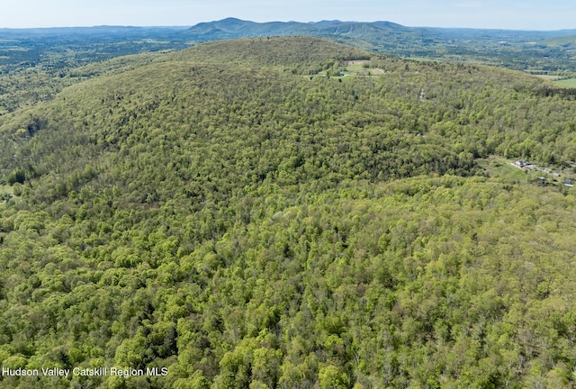 400 Overlook Dr, Hillsdale, NY 12529 - photo 16