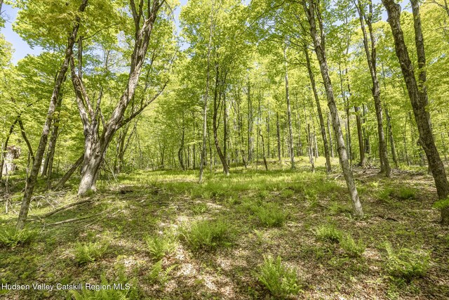 400 Overlook Dr, Hillsdale, NY 12529 - photo 8