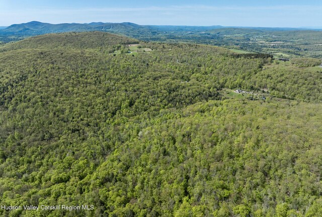 400 Overlook Dr, Hillsdale, NY 12529 - photo 15