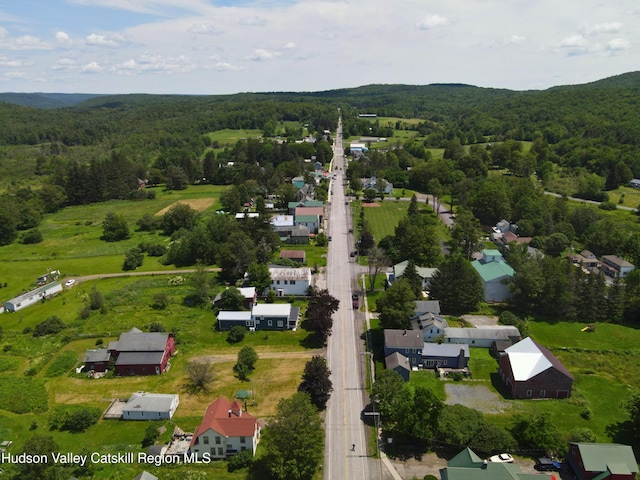 137 Main St, Jefferson, NY 12093 - photo 47