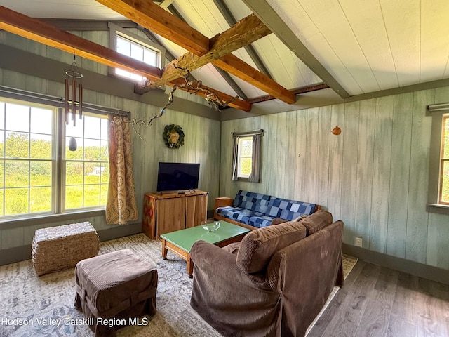 137 Main St, Jefferson, NY 12093 - photo 24