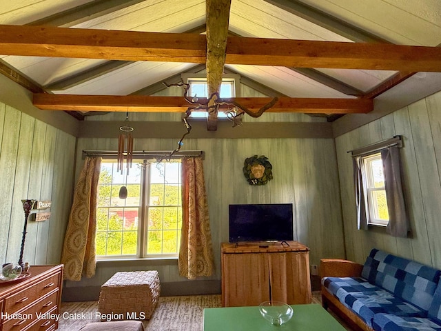 137 Main St, Jefferson, NY 12093 - photo 22