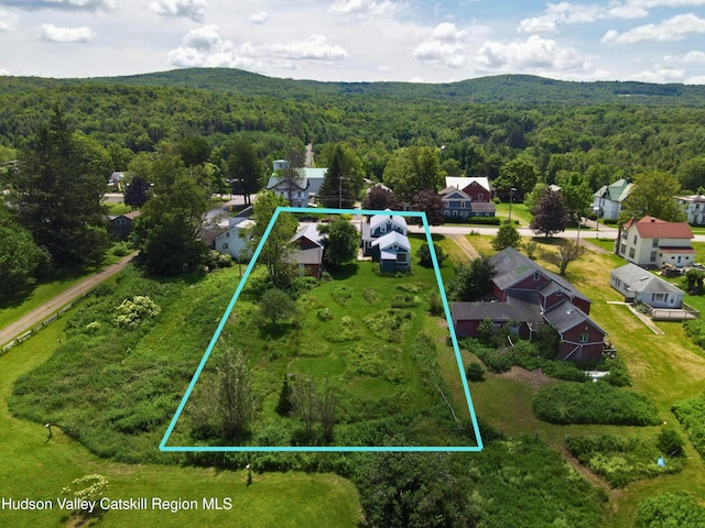 137 Main St, Jefferson, NY 12093 - photo 43