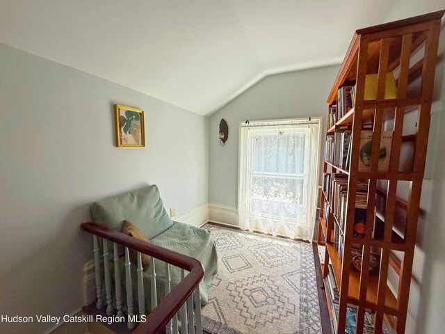 137 Main St, Jefferson, NY 12093 - photo 33