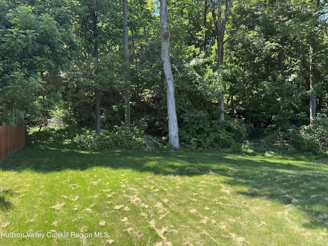 101 Marius St, Kingston, NY 12401 - photo 28