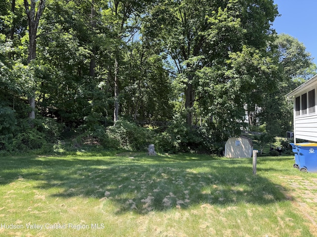 101 Marius St, Kingston, NY 12401 - photo 29