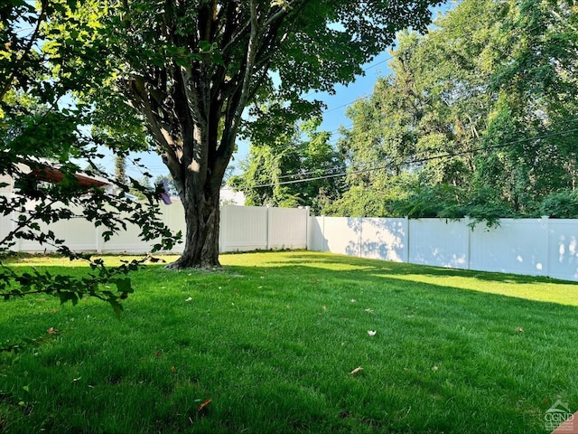 25 Joslen Pl, Hudson, NY 12534 - view of yard