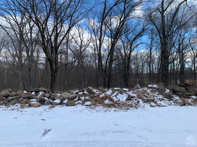 4770 Rte 32, Catskill, NY 12414 - photo 6