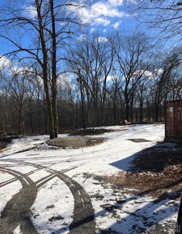 4770 Rte 32, Catskill, NY 12414 - photo 4