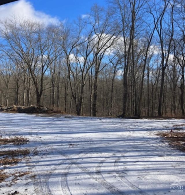 4770 Rte 32, Catskill, NY 12414 - photo 2