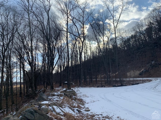 4770 Rte 32, Catskill, NY 12414 - photo 1