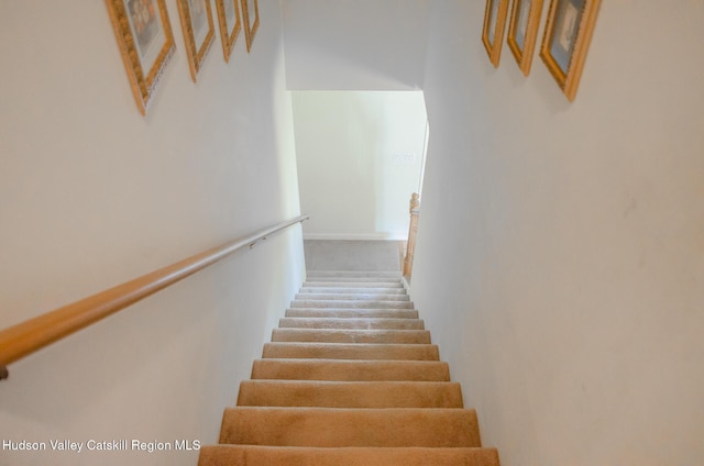 staircase with carpet floors