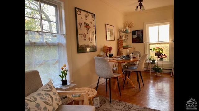 36 Spring St, Chatham, NY 12037 - sitting room featuring plenty of natural light, wood finished floors, and a baseboard radiator