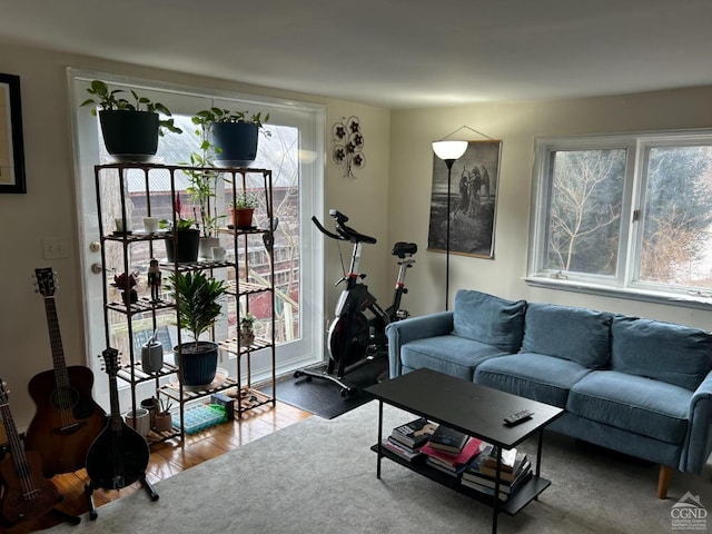 36 Spring St, Chatham, NY 12037 - living room featuring wood finished floors