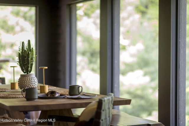 46 Rose Ln, Woodstock, NY 12409 - view of dining area