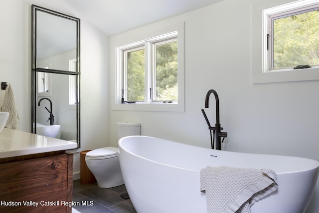 46 Rose Ln, Woodstock, NY 12409 - bathroom featuring vanity, plenty of natural light, a freestanding tub, and vaulted ceiling
