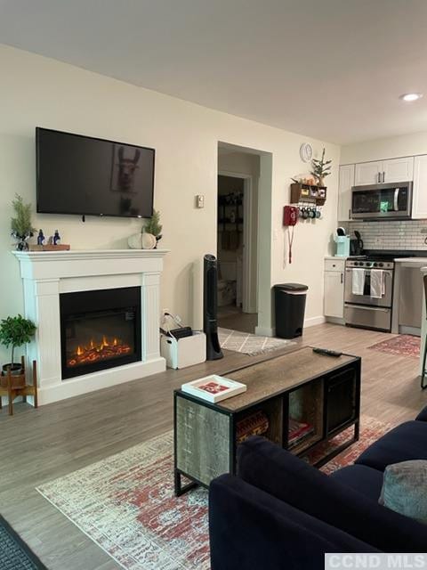 64 Highlands Dr Unit D 2, Hunter, NY 12442 - living area with light wood-type flooring, a glass covered fireplace, and recessed lighting
