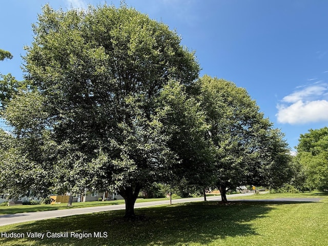 39 Maple Ln, Dover Plains, NY 12522 - view of home's community with a lawn