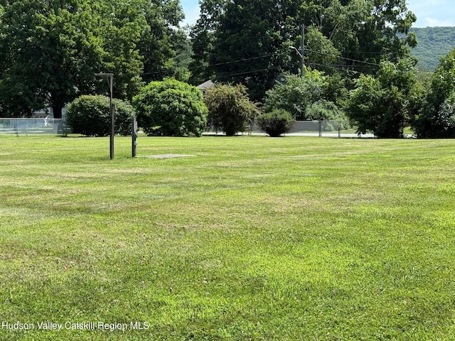 39 Maple Ln, Dover Plains, NY 12522 - view of yard