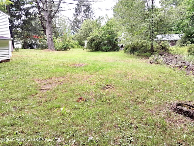 7272 Rte 81, East Durham, NY 12423 - photo 22