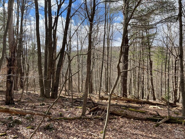 0 Rte 23a Rd, Lexington, NY 12452 - photo 8
