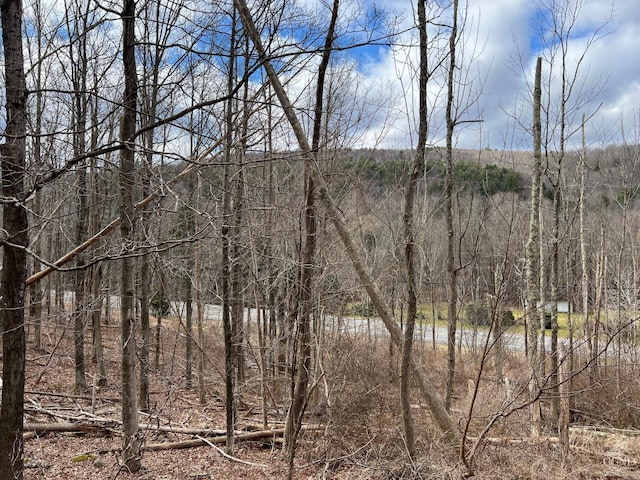 0 Rte 23a Rd, Lexington, NY 12452 - photo 5