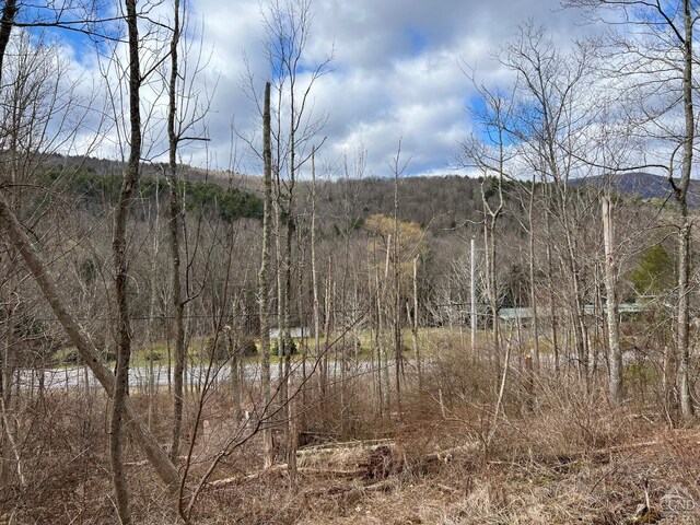 0 Rte 23a Rd, Lexington, NY 12452 - photo 3