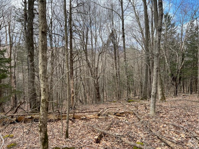 0 Rte 23a Rd, Lexington, NY 12452 - photo 9
