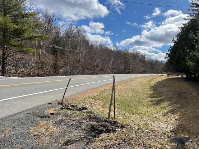 0 Rte 23a Rd, Lexington, NY 12452 - photo 16