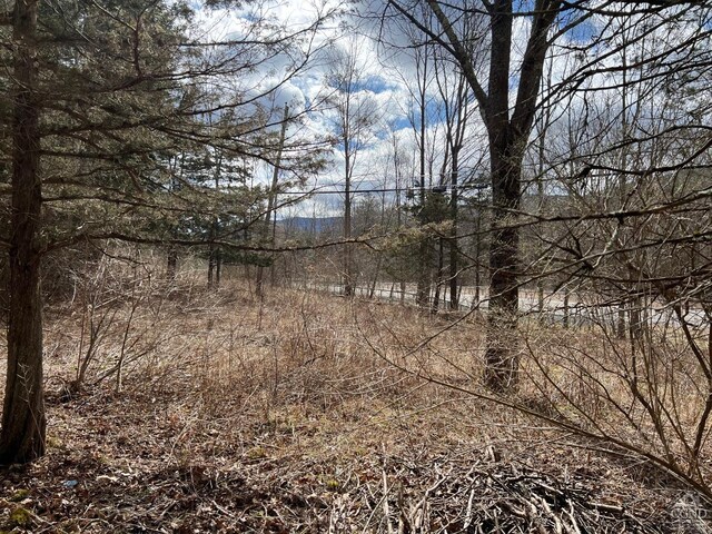0 Rte 23a Rd, Lexington, NY 12452 - photo 4