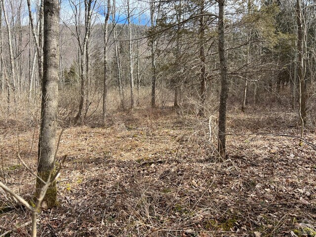 0 Rte 23a Rd, Lexington, NY 12452 - photo 14