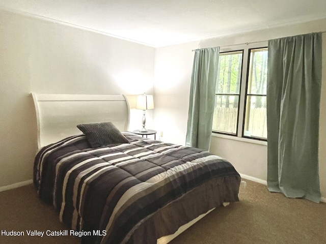 7 Dixon Ave, Woodstock, NY 12498 - carpeted bedroom featuring baseboards